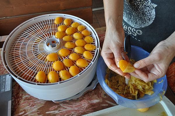 Sécher les abricots à la maison
