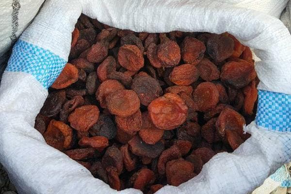 sac d'abricots secs