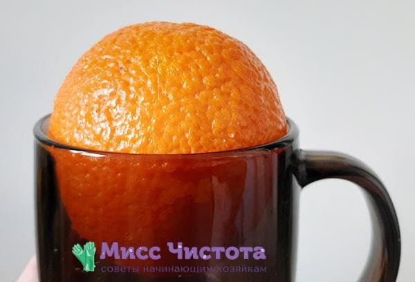 Orange dans une tasse