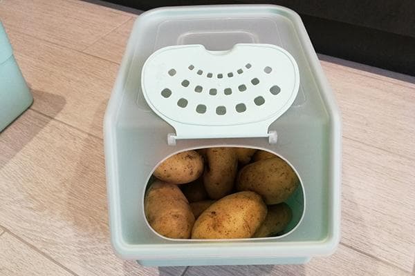 Récipient en plastique avec des pommes de terre