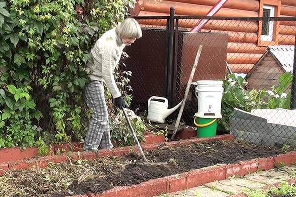 Préparer le lit à l'automne
