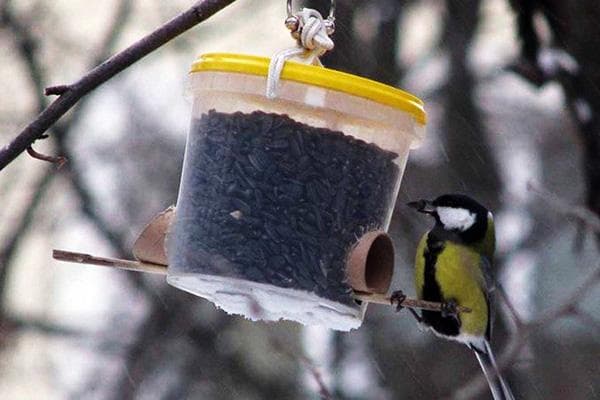 Mangeoire à oiseaux fabriquée à partir d'un seau en plastique