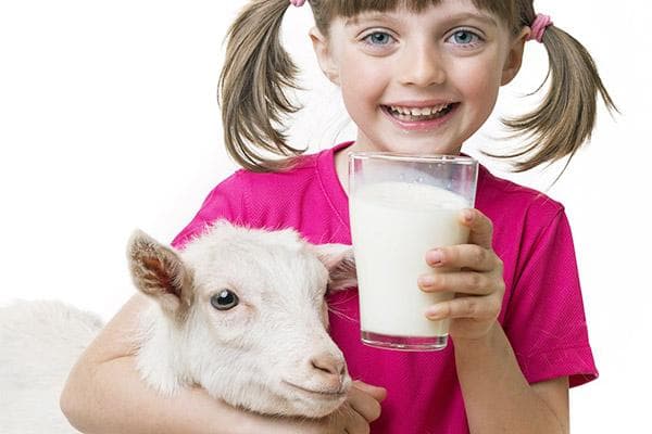 La fille boit du lait de chèvre