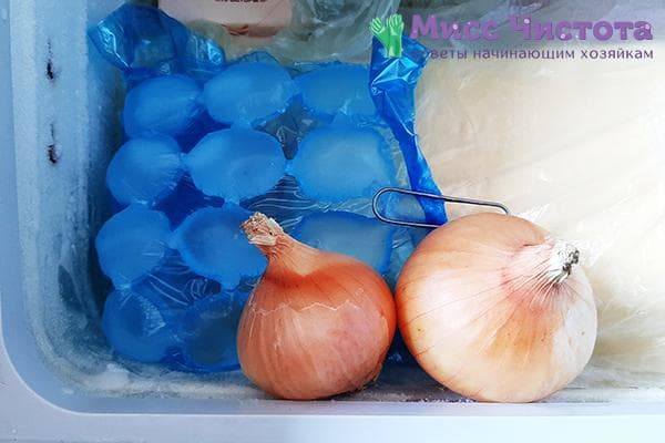 Oignons au congélateur