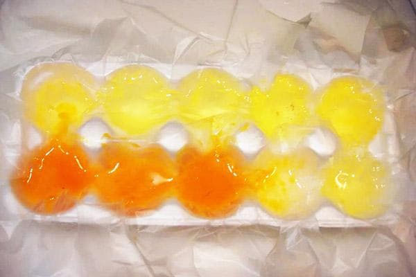 Congeler des œufs cassés dans un plateau