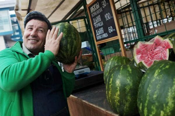 À quoi ressemble une pastèque ?