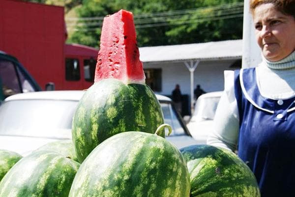 Commerce de pastèques