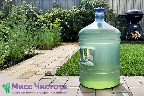 L'intérieur d'une bouteille d'eau est devenu vert