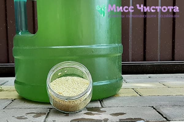 Du millet et une bouteille d'eau de 19 litres, verte à l'intérieur