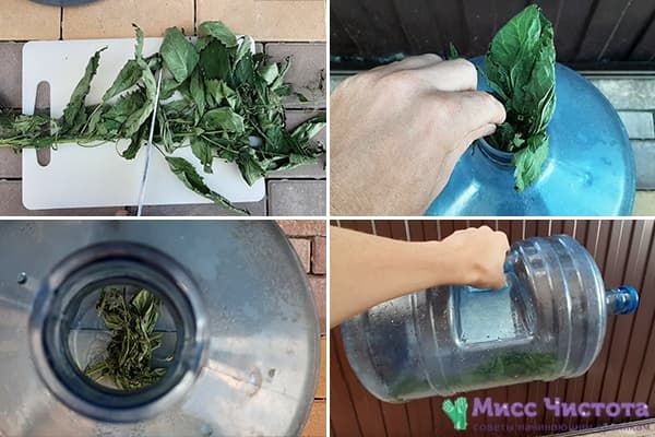 Nettoyer une bouteille de 19 litres avec des orties