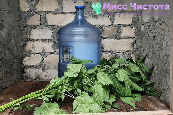 Ortie et bouteille isotherme de 19 litres