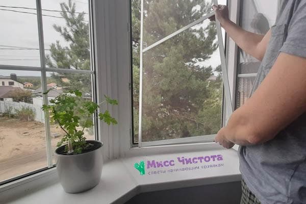 Retirer la moustiquaire de la fenêtre