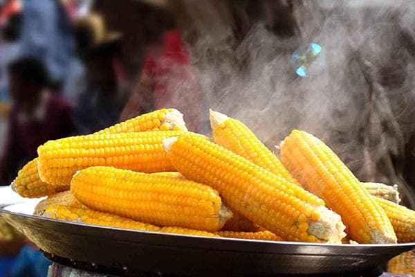 Maïs bouilli chaud