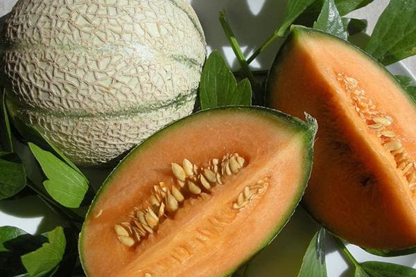 Melon Cantaloup