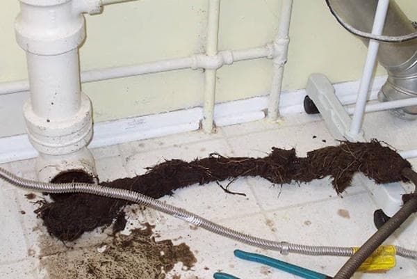 Obstruction des égouts