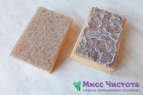 Eponges à vaisselle neuves et anciennes