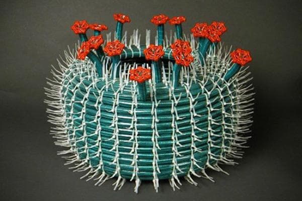 Cactus provenant d'un tuyau d'arrosage et de pinces en nylon