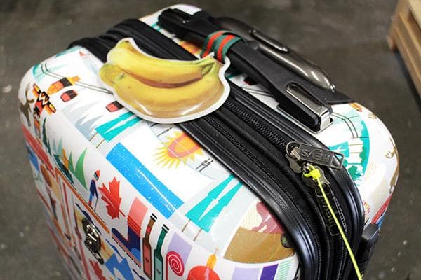 Attache en plastique sur la serrure d'une valise de voyage