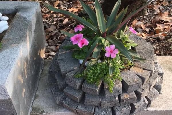 Briques éponges de cuisine