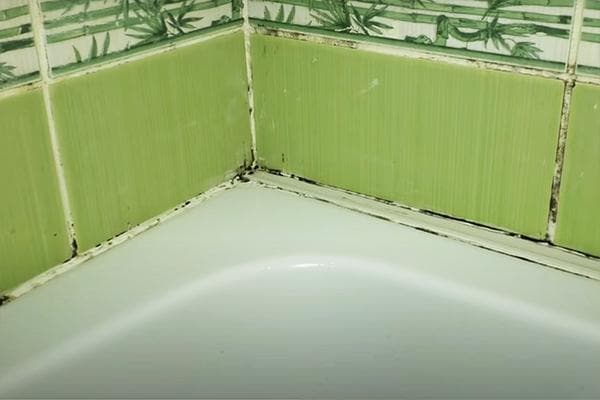 Moisissure sur le calfeutrage dans la salle de bain