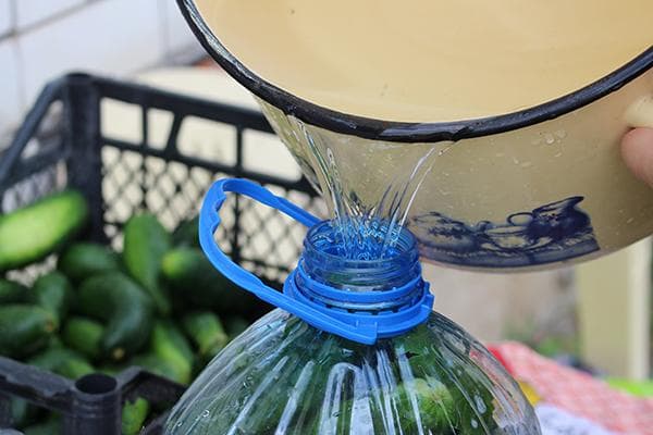 Mariner des concombres dans un pot en plastique