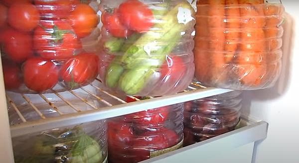 Contenants à légumes fabriqués à partir de bouteilles en plastique