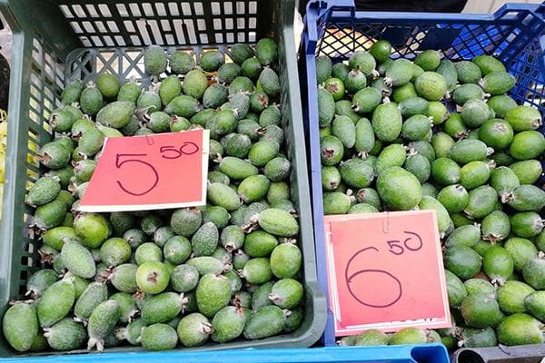 Vendre du feijoa au marché