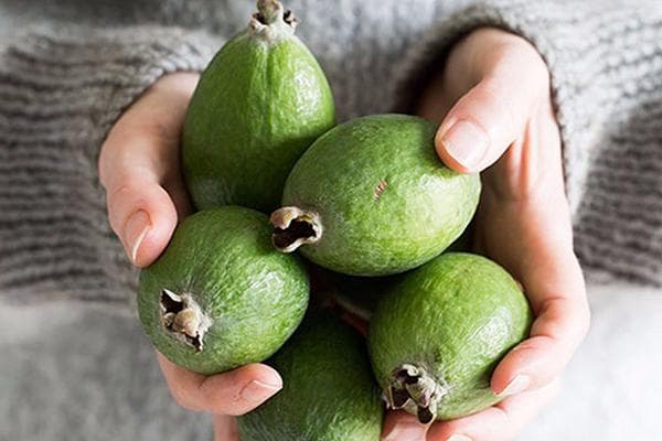 Gros fruits feijoa