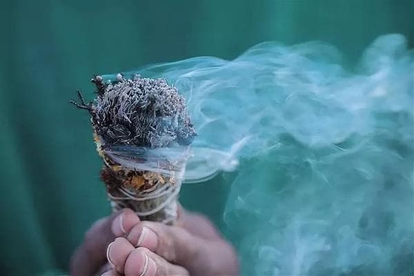 Fumigation à l'absinthe