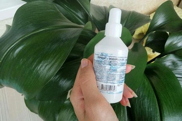 Peroxyde d'hydrogène pour plantes d'intérieur