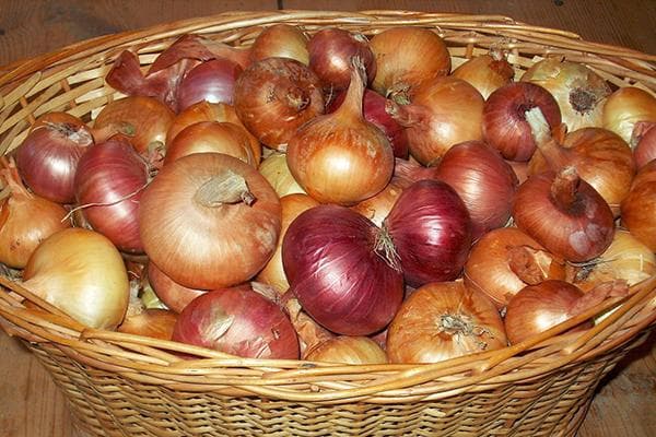 Oignons dans un panier en osier
