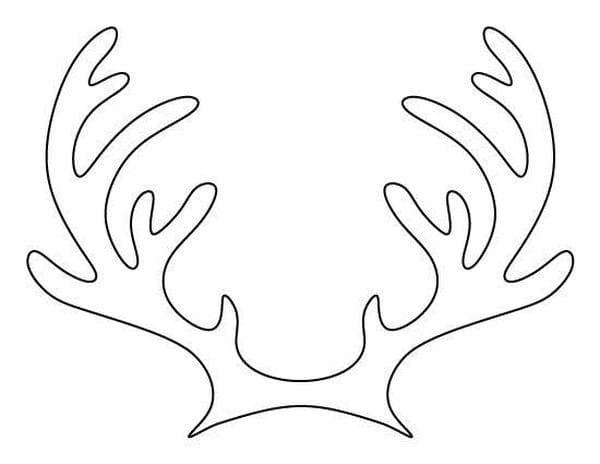 Modèle de bois de cerf