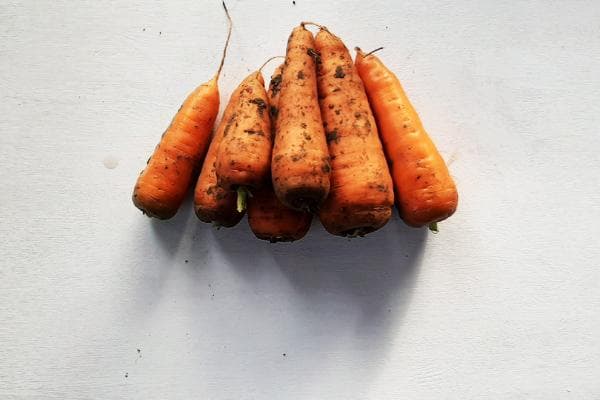 montagnes de carottes