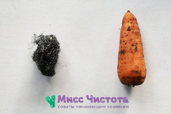Éponge dure et carottes