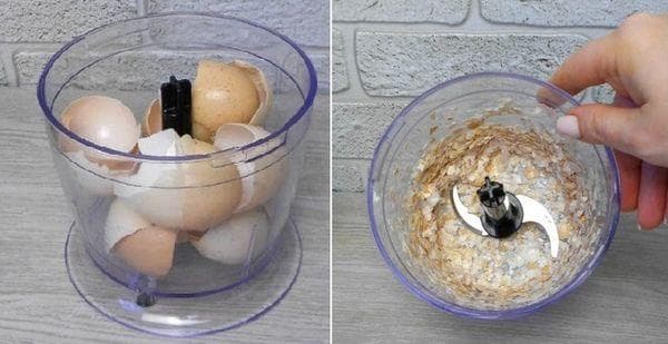Coquilles d'œufs dans un mixeur
