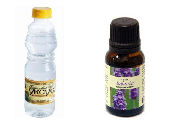 Huile de lavande et vinaigre