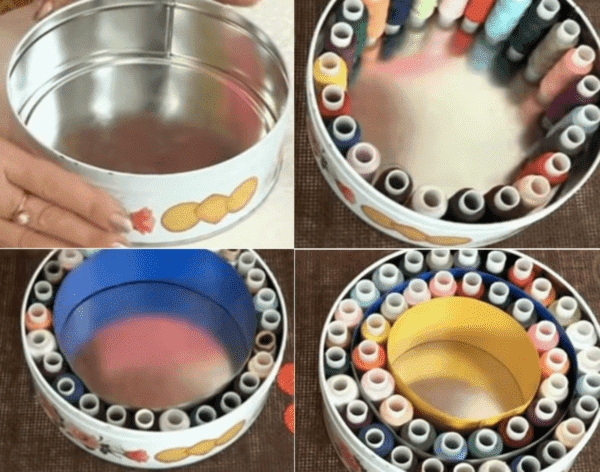 Organisateur de boîtes à biscuits