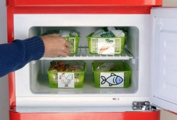 Organisateurs pour le congélateur