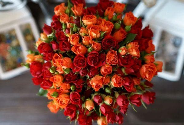 Bouquet de roses branchues aux couleurs vives