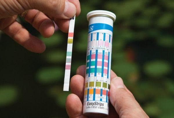 Bandelettes de test de dureté de l'eau