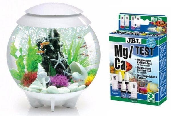 aquarium et tests