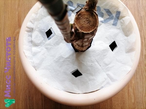 protection pot de fleur