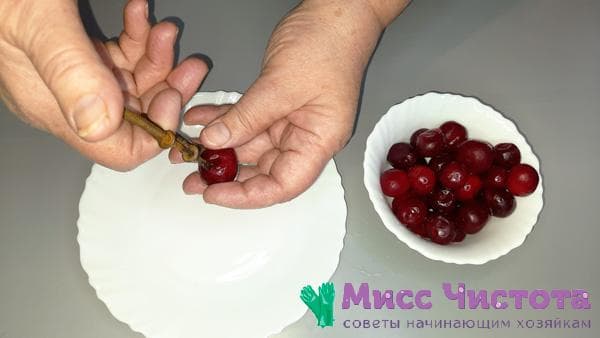 outil spécial pour retirer les graines des baies