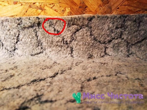 moquette clouée sur parquet