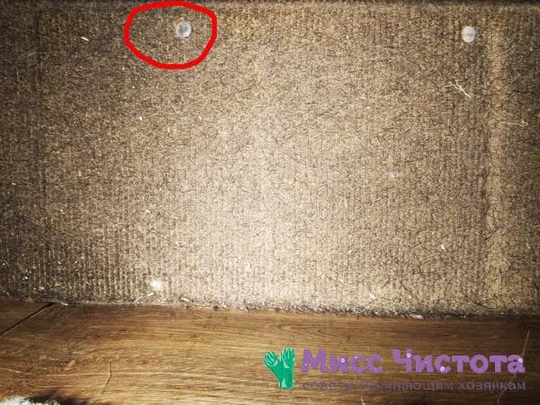 moquette avec bande clouée