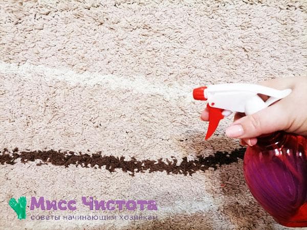 vaporiser sur le tapis