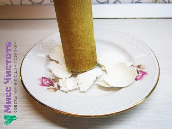 écraser les coquilles d'œufs