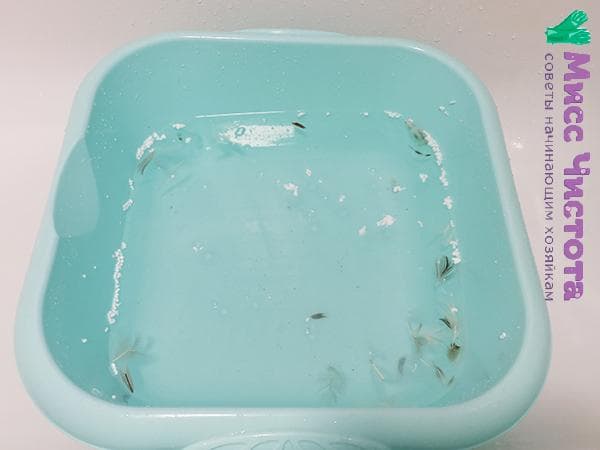 bol avec de l'eau et des déchets