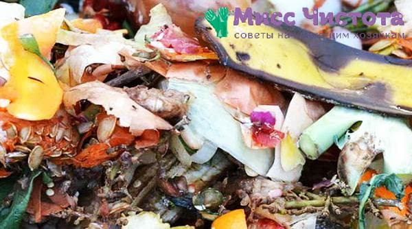 déchets de compost