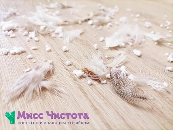 plumes et peluches sur le sol